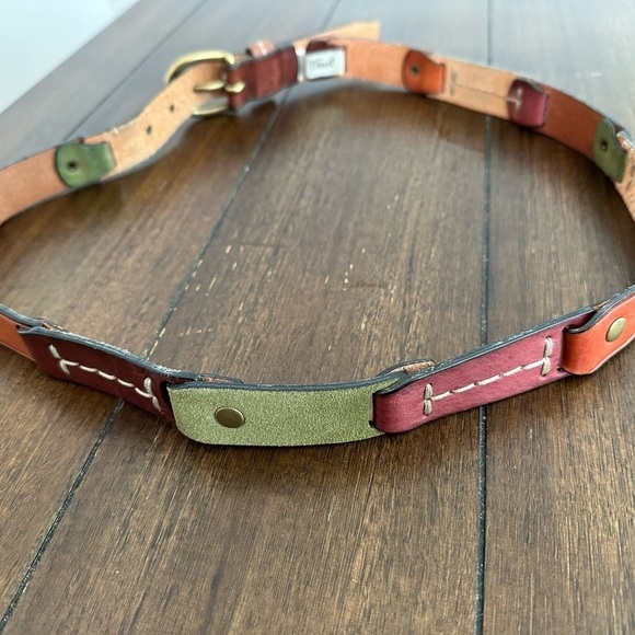 Fossil belt - Picture 12 of 12